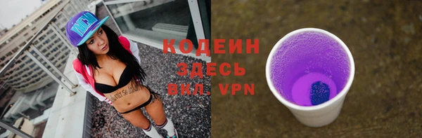 хмурый Абаза