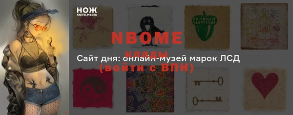 хмурый Абаза