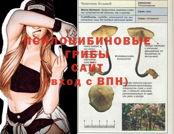 амфетамин Абинск