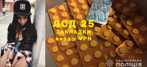 хмурый Абаза