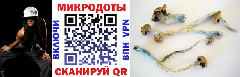 Псилоцибиновые грибы Magic Shrooms Карабаново